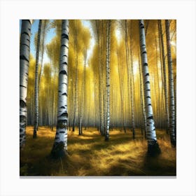 Birch Forest 26 Canvas Print