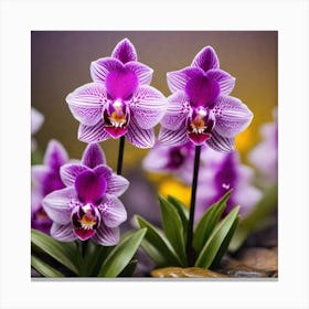 Purple Orchids 3 Canvas Print