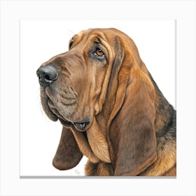 Bloodhound Dog Portrait Stampe su tela