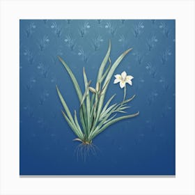 Vintage Fortnight Lily Botanical on Bahama Blue Pattern n.2113 Canvas Print