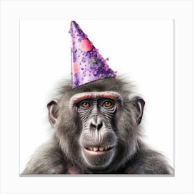 Birthday Chimp Canvas Print