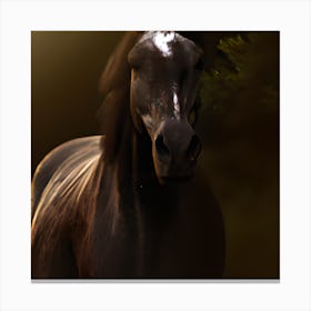 Horse Portrait (1) Canvas Print
