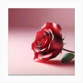 Rose Rose Canvas Print