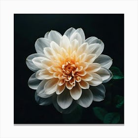 Dahlia Flower Canvas Print