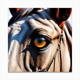 Eye Of A Horse 6 Canvas Print