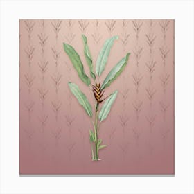Vintage Parrot Heliconia Botanical on Dusty Pink Pattern n.1835 Canvas Print