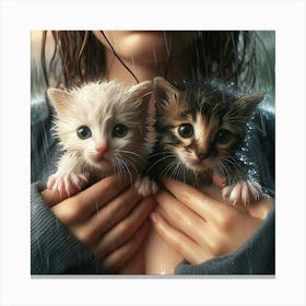 Two Kittens In The Rain 2 Canvas Print