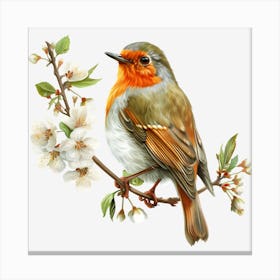 Robin 2 Canvas Print