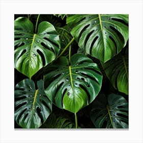 Default Monstera Leaves Photo Art 2 Canvas Print