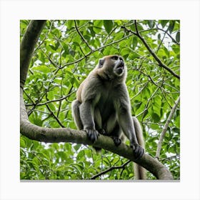 Monkey In A Tree 5 Canvas Print