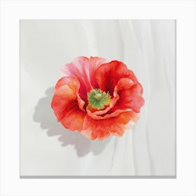 Poppy Ideo3 Canvas Print