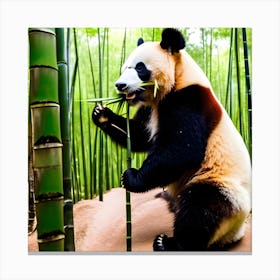 Panda Bear In Bamboo Forest 3 Canvas Print