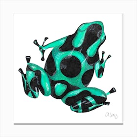 Green And Black Frog. 1 Canvas Print