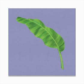 Lush Minimalism - Modern Minimalist Banana Leaf On Purple Canvas Print