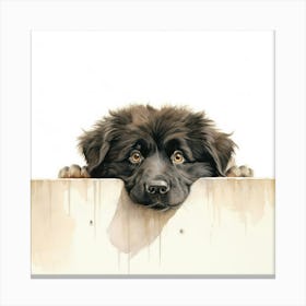 Dog Peeking Over A Fence 1 Canvas Print