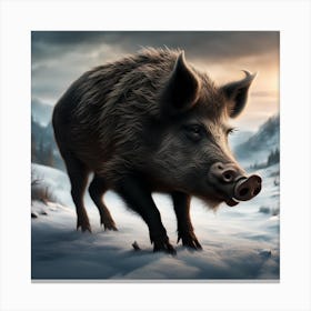 Wild Boar Canvas Print