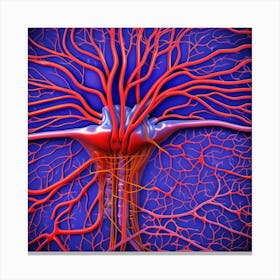 Arteries And Veins Canvas Print