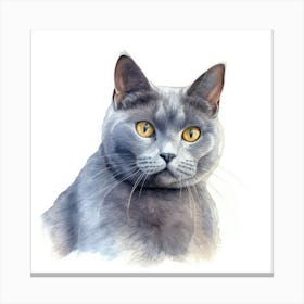 Chartreux Cat Portrait 1 Canvas Print