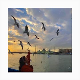 Seagulls Flying 1 Canvas Print