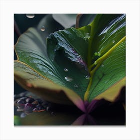 Water Droplets On A Leaf Canvas Print