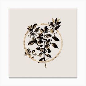 Gold Ring Evergreen Oak Glitter Botanical Illustration n.0187 Canvas Print
