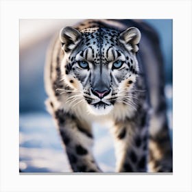 Snow Leopard Canvas Print