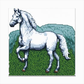 White Horse Canvas Print