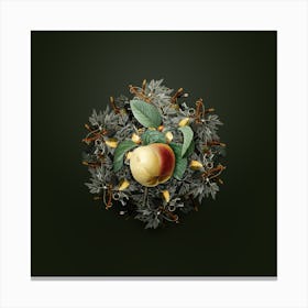 Vintage Snow Calville Apple Fruit Wreath on Olive Green n.2483 Canvas Print