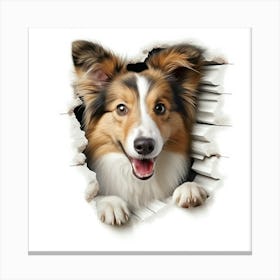 Collie Dog Canvas Print