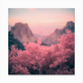 Pink Blossoms In The Mountains Canvas Print