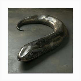 Eel Fish 1 Canvas Print