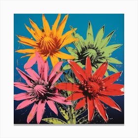 Andy Warhol Style Pop Art Flowers Edelweiss 3 Square Canvas Print
