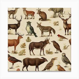 Default Default Vintage Animals For Defferent Seasons Aestethi 0 (2) Canvas Print