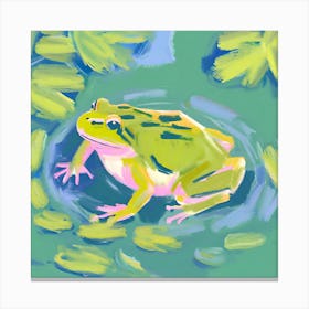 American Bullfrog 08 Canvas Print