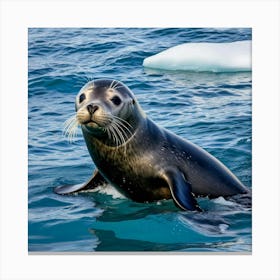Seal Swimming In The Ocean Canvas Print