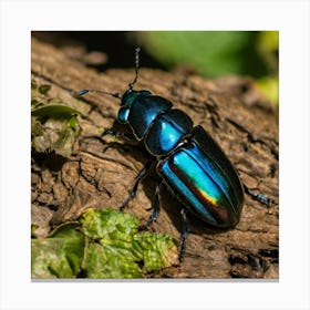 Beetle 38 Canvas Print