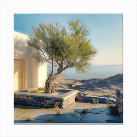 Olive Tree In Sunlight (III) Canvas Print