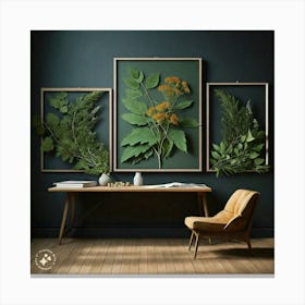 Three Framed Botanical Prints Canvas Print