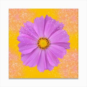 Pink Cosmos Flower On Yellow Background Canvas Print