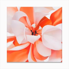 Orange Flower Canvas Print