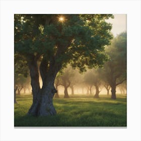 Sunrise Over A Field Of Trees Canvas Print