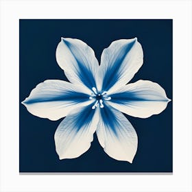 Blue Flower 4 Canvas Print