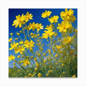 Yellow Daisies 2 Canvas Print