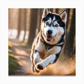 Siberian Husky Running In The Woods Canvas Print