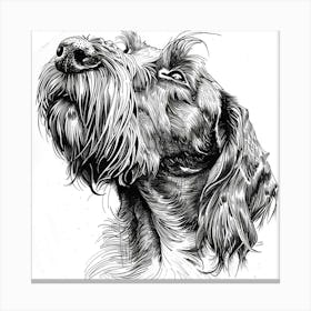 Grand Basset Griffon Vendeen Dog Line Sketch 3 Canvas Print