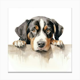 Bernese Dog 3 Canvas Print