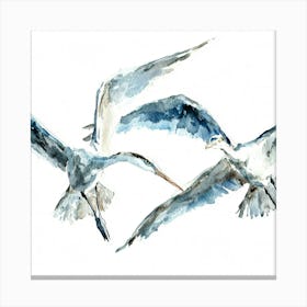 Herons In Flight Canvas Print