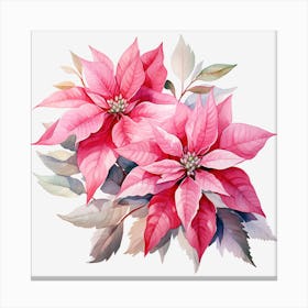 Poinsettia Flowers Canvas Print