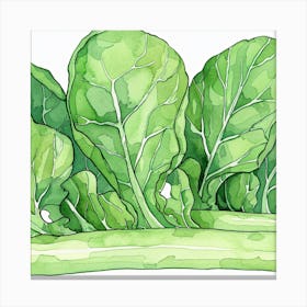 Kale Illustration Canvas Print