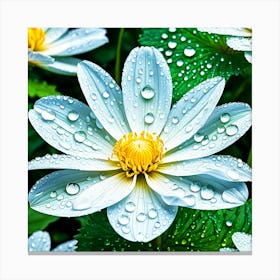 Lotus Flower With Water Droplets Canvas Print